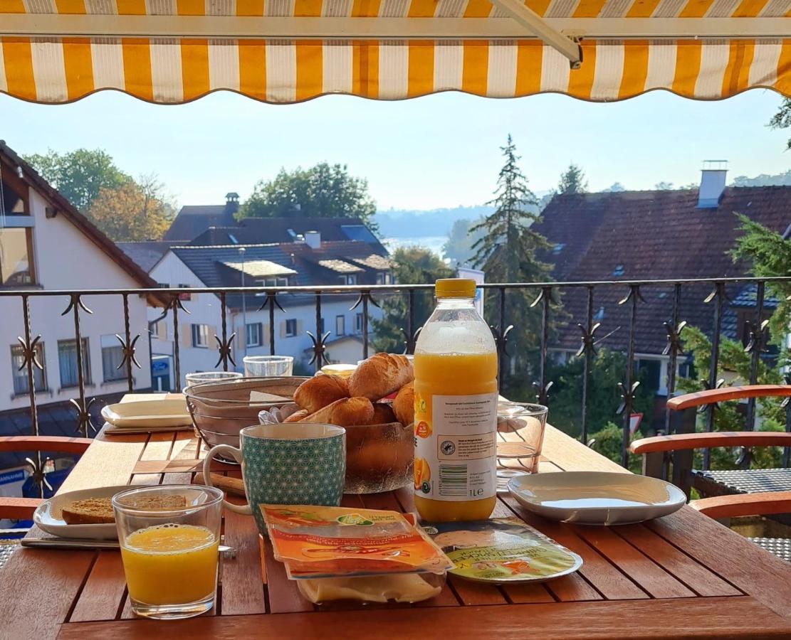 Ferienwohnung Rheinblick In Buesingen -Keine Monteure- Busingen Экстерьер фото