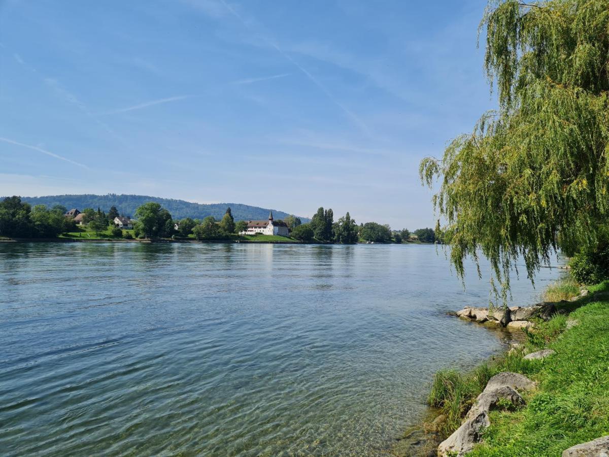 Ferienwohnung Rheinblick In Buesingen -Keine Monteure- Busingen Экстерьер фото
