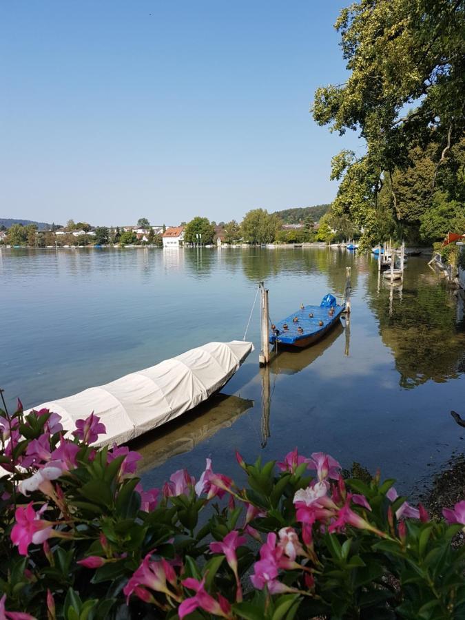Ferienwohnung Rheinblick In Buesingen -Keine Monteure- Busingen Экстерьер фото