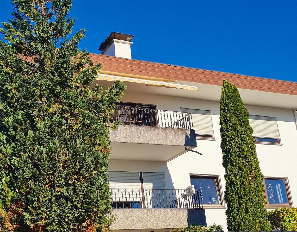 Ferienwohnung Rheinblick In Buesingen -Keine Monteure- Busingen Экстерьер фото