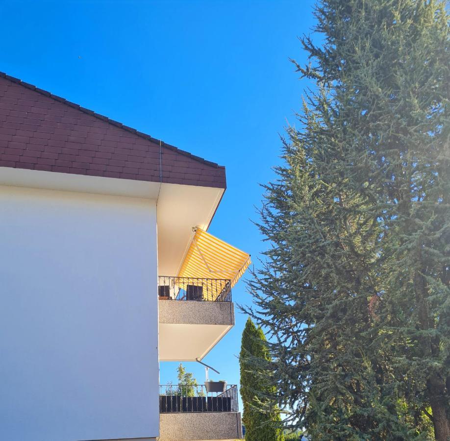 Ferienwohnung Rheinblick In Buesingen -Keine Monteure- Busingen Экстерьер фото